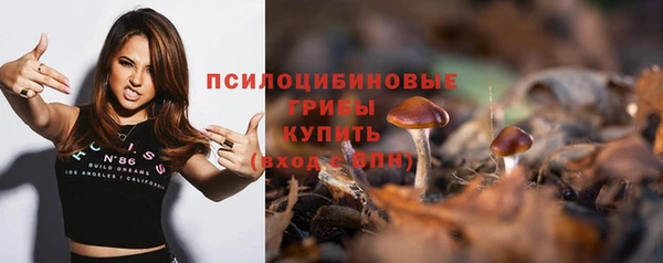 соль ск Алексин