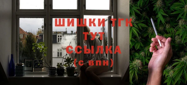 прущие грибы Армянск